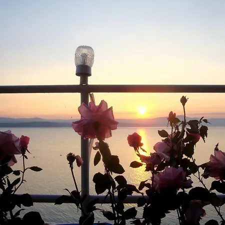 Комплекс Белите Къщи Resort Shtarkelovo Gnezdo